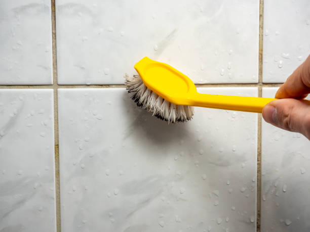 Best Mold Remediation for Schools in Norco, CA
